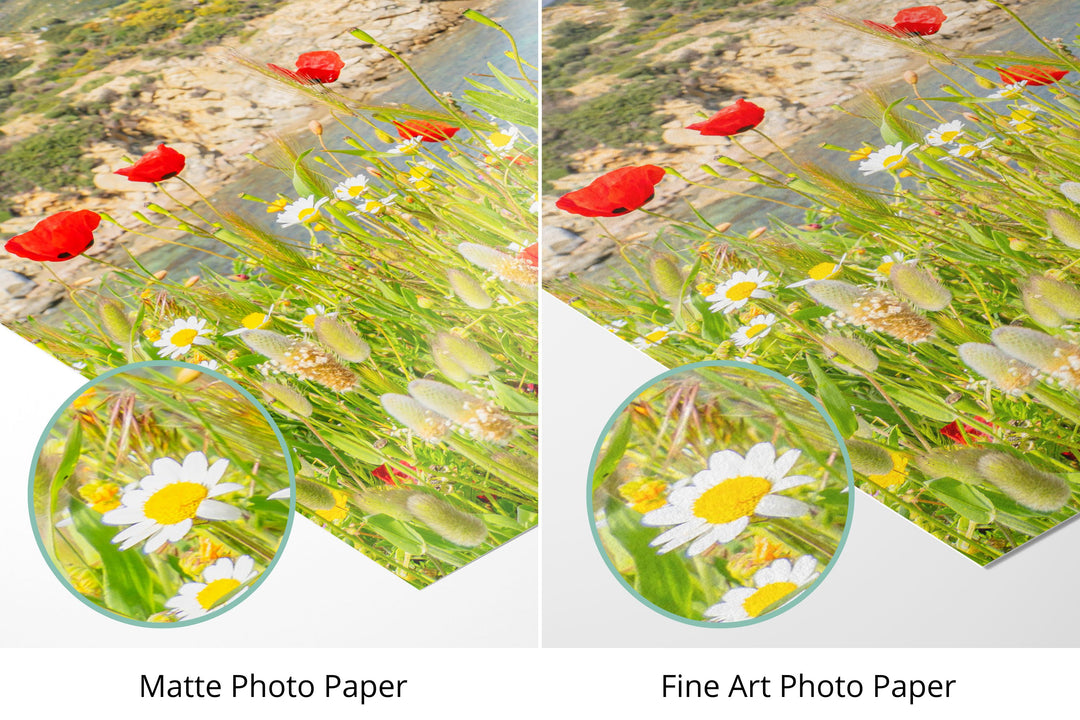 Photo paper types