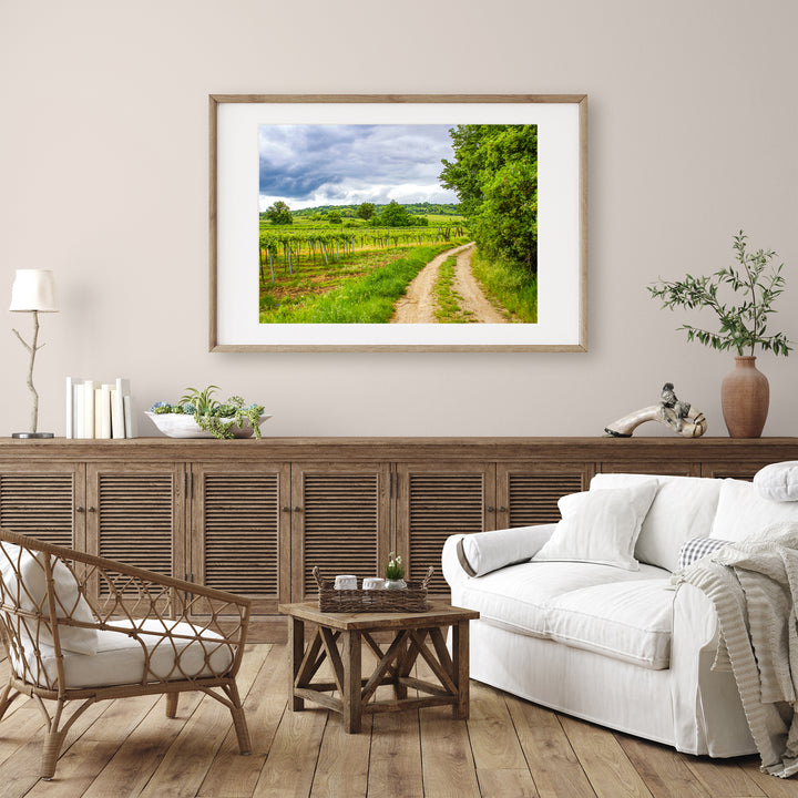 Wine Country | Fine Art Photography Print