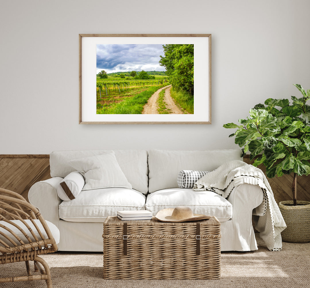 Wine Country | Fine Art Photography Print