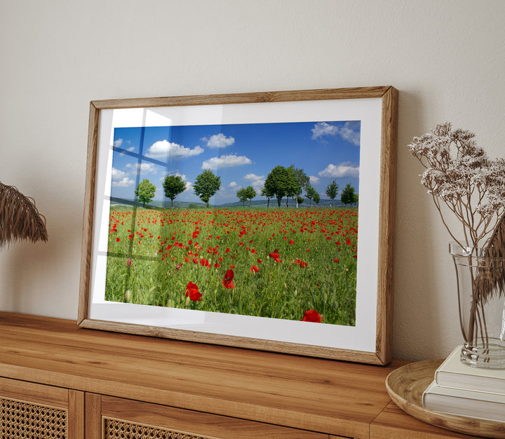Poppy Flower Field I | Fine Art Photography Print