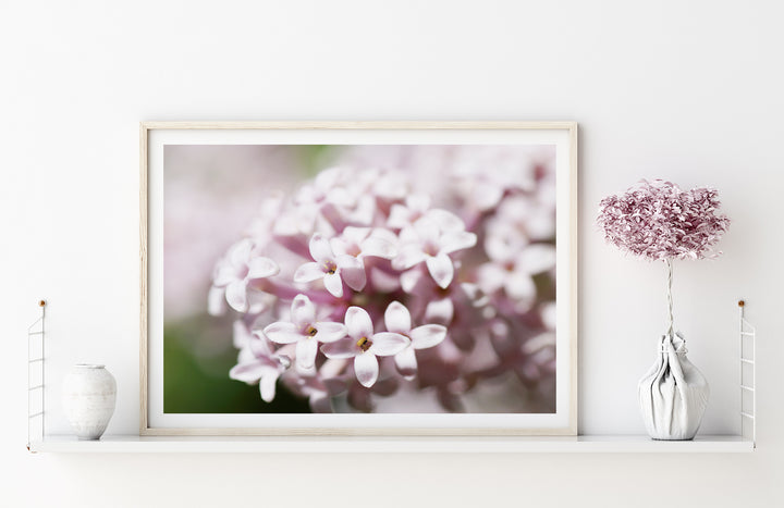 Pink Spring Blossom | Fine Art Photography Print