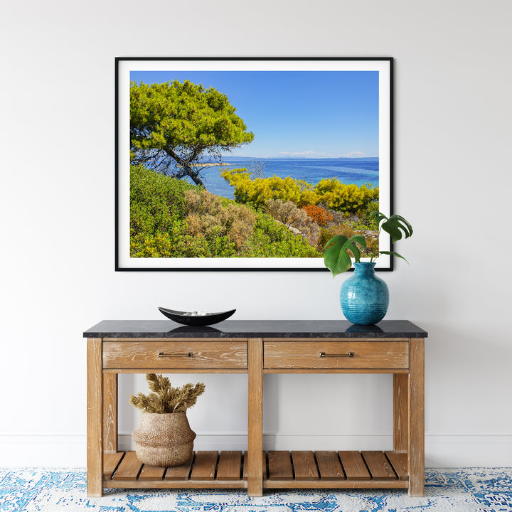 Coastal Pine Tree I | Fine Art Photography Print