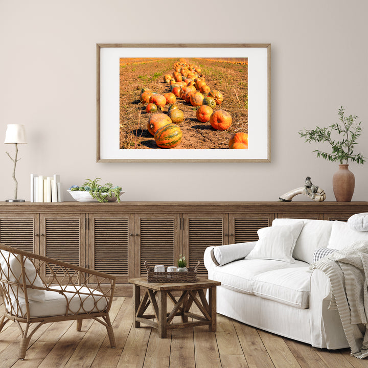 Pumpkin Field | Fine Art Photography Print