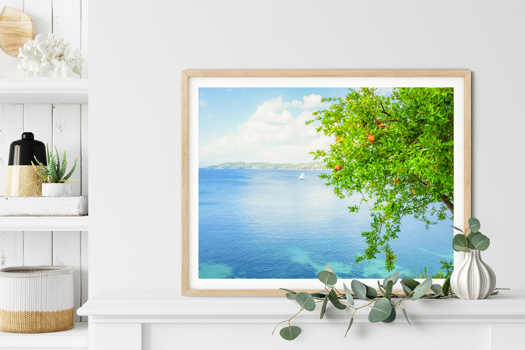 Coastal Pomegranate Tree | Fine Art Photography Print