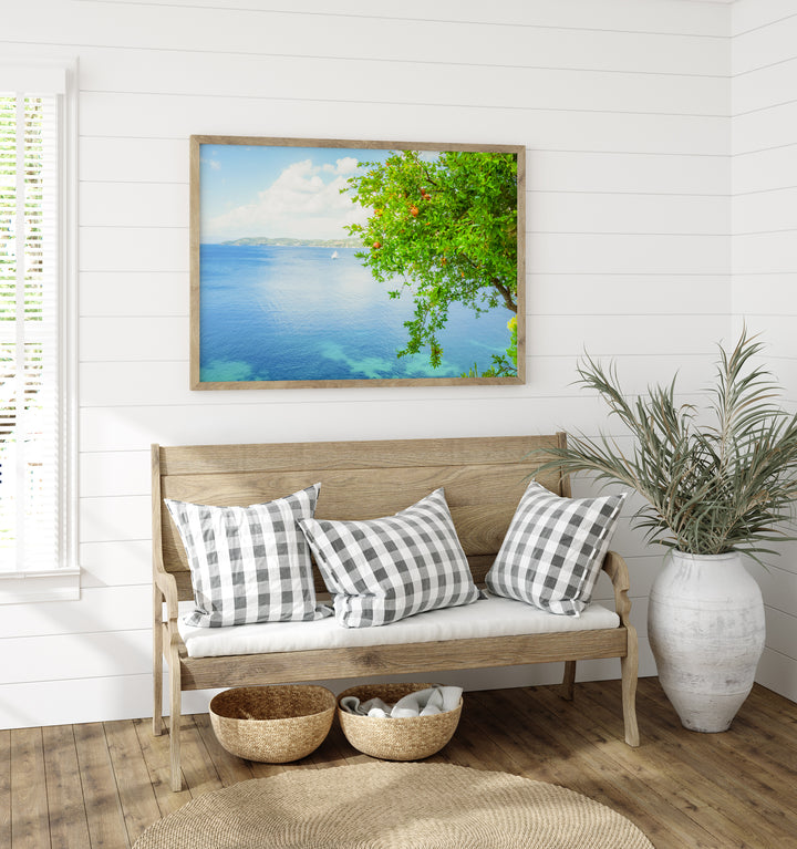 Granatapfelbaum an der Küste | Fine Art Poster Print