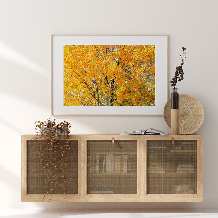 Goldener Baum II | Fine Art Poster Print