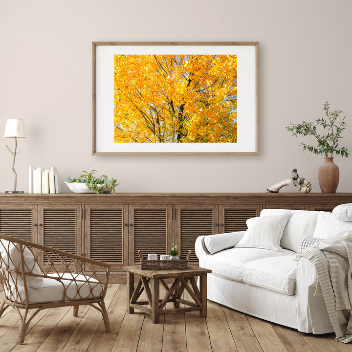 Goldener Baum II | Fine Art Print