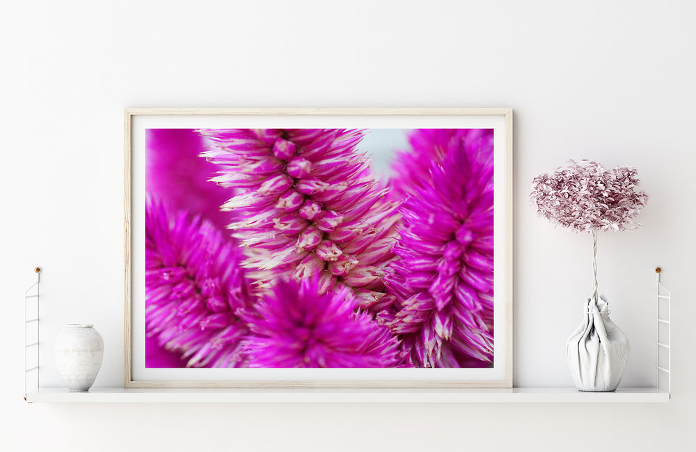 Abstract Flower | Fine Art Photo Print Wall Art