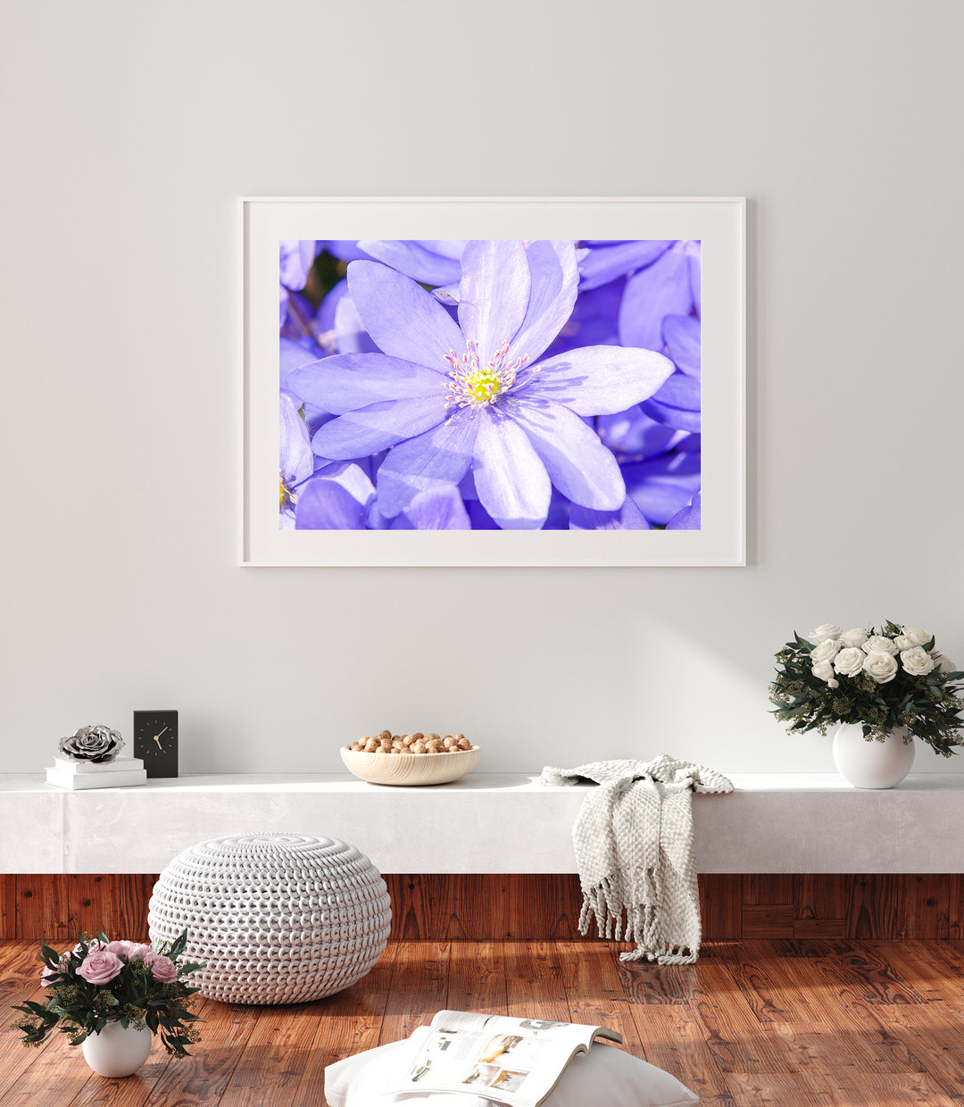 Blue Hepatica Flower II | Fine Art Photography Print