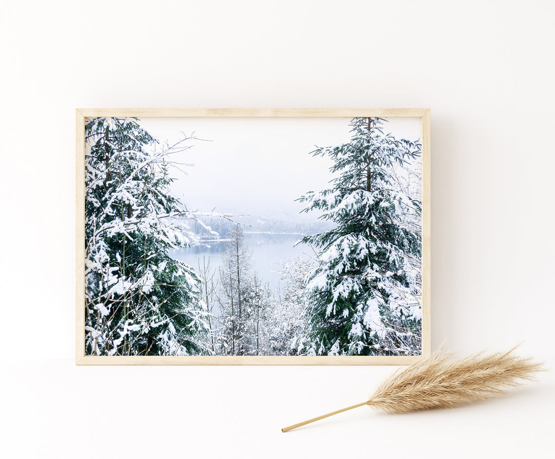 Winterlandschaft | Fine Art Print