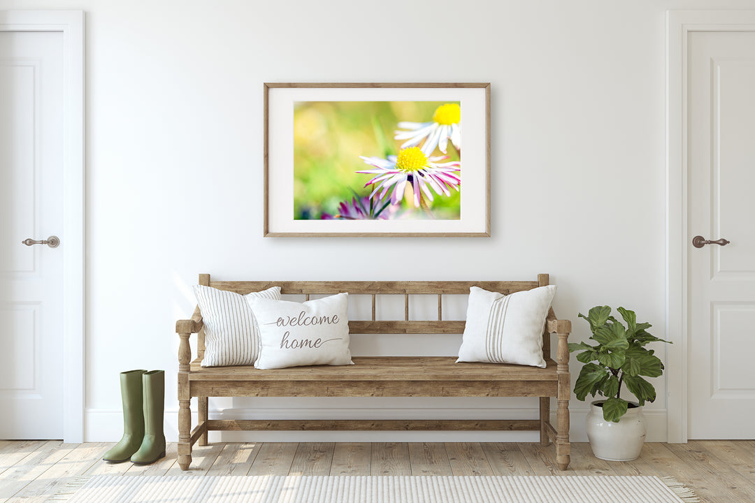White Daisy Flower | Fine Art Photography Print