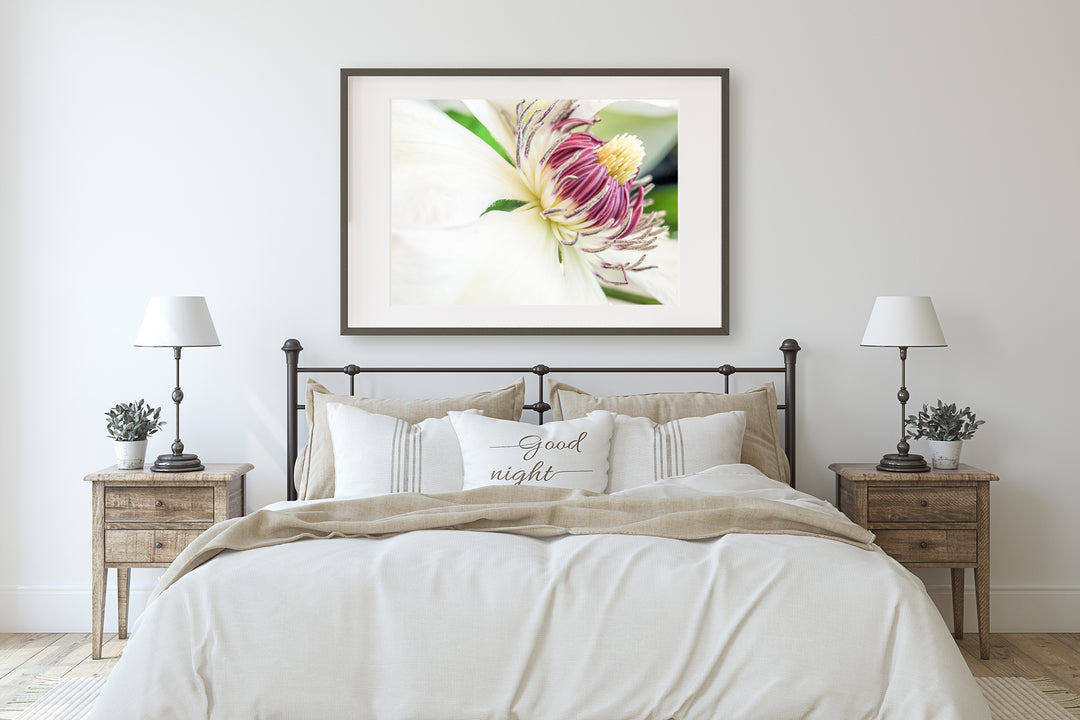 White Clematis Flower | Fine Art Photography Print