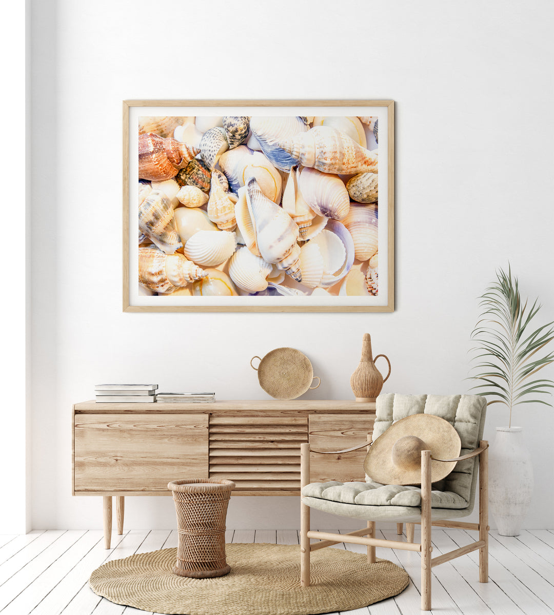 Seashells | Fine Art Photography Print
