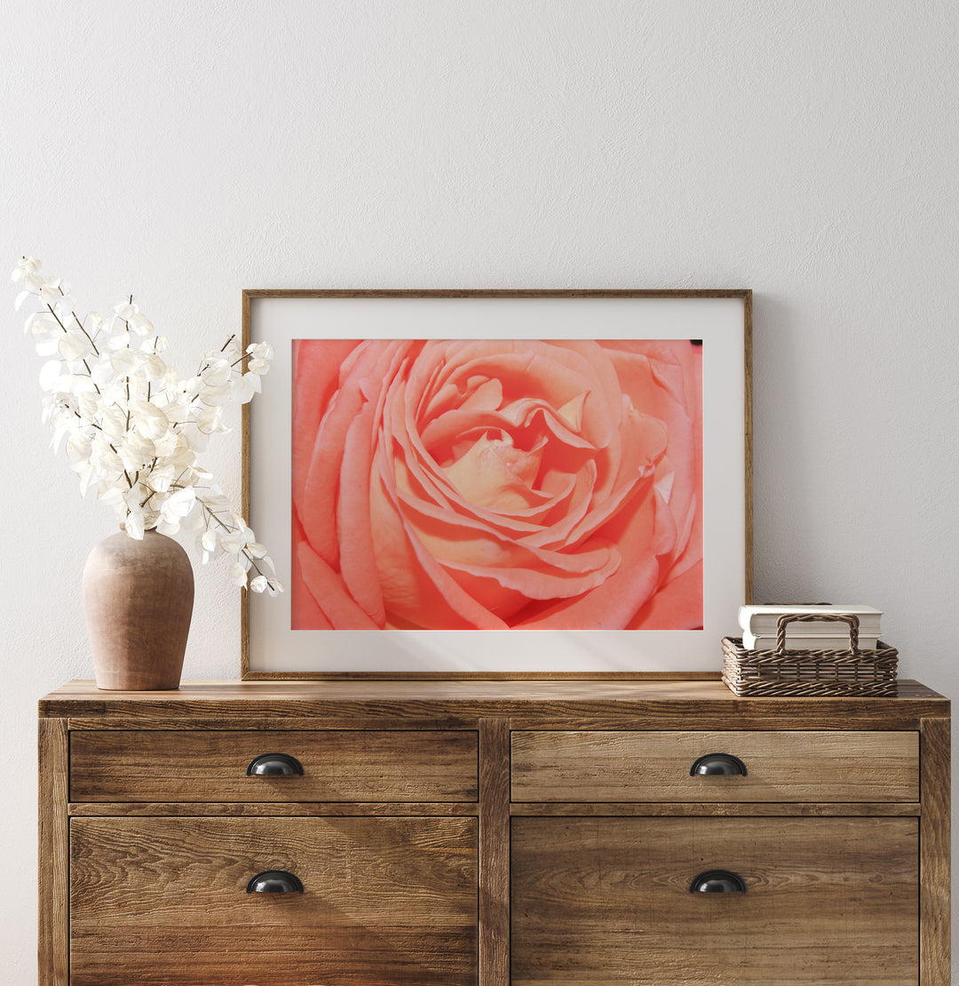 Orange Rose | Fine Art Poster Print