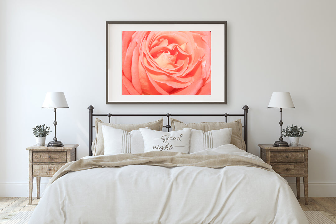 Orange Rose | Fine Art Poster Print