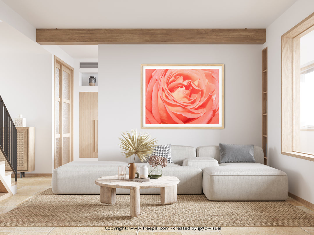 Orange Rose | Fine Art Print