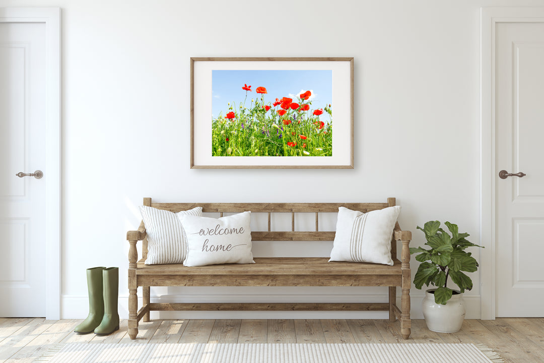 Poppy Flower Field II | Fine Art Photography Print