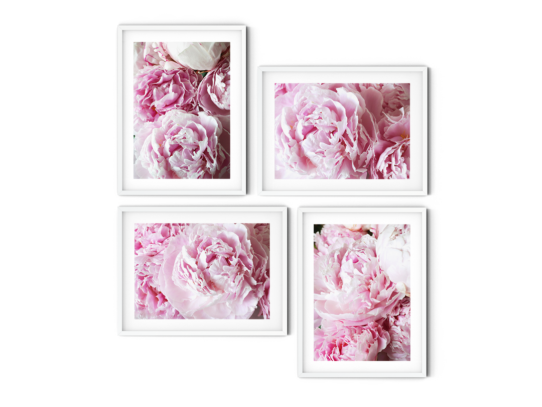 Pink Peonies Gallery Wall III | Fine Art Photography Print Set