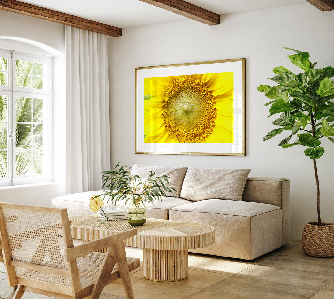 Sunflower | Fine Art Photography Print