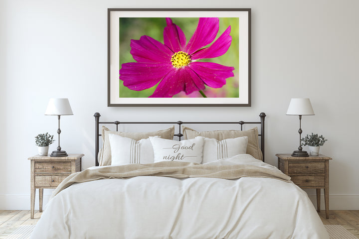 Pink Cosmos Flower | Fine Art Photography Print