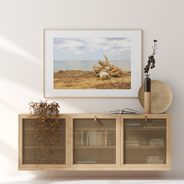 Beach Driftwood I | Fine Art Photography Print