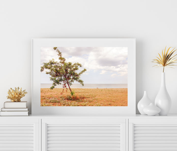 Einsamer Baum an der Küste | Fine Art Poster Print