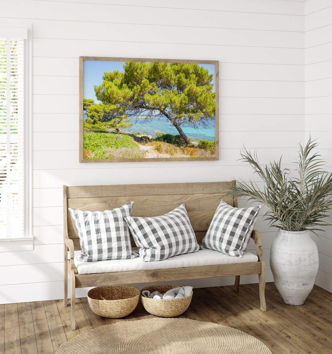 Coastal Pine Tree II | Fine Art Photography Print