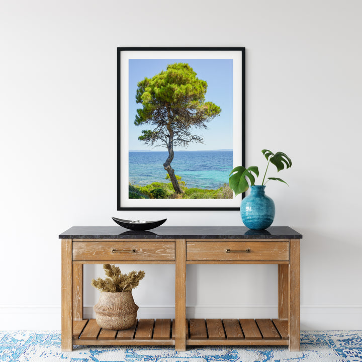 Coastal Pine Tree IV | Fine Art Photography Print