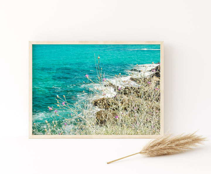 Coastal Wildflowers I | Fine Art Photography Print