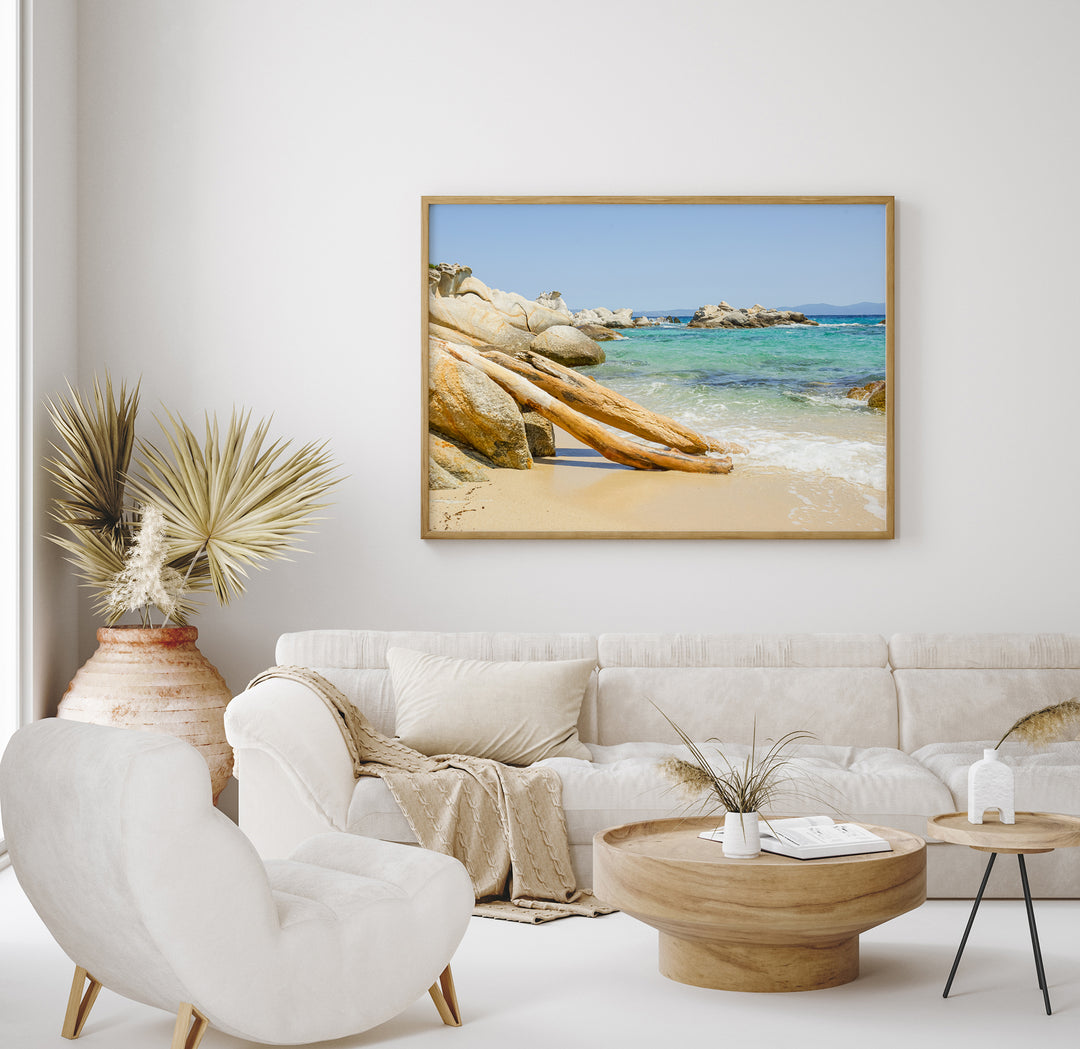 Beach Driftwood II | Fine Art Photography Print