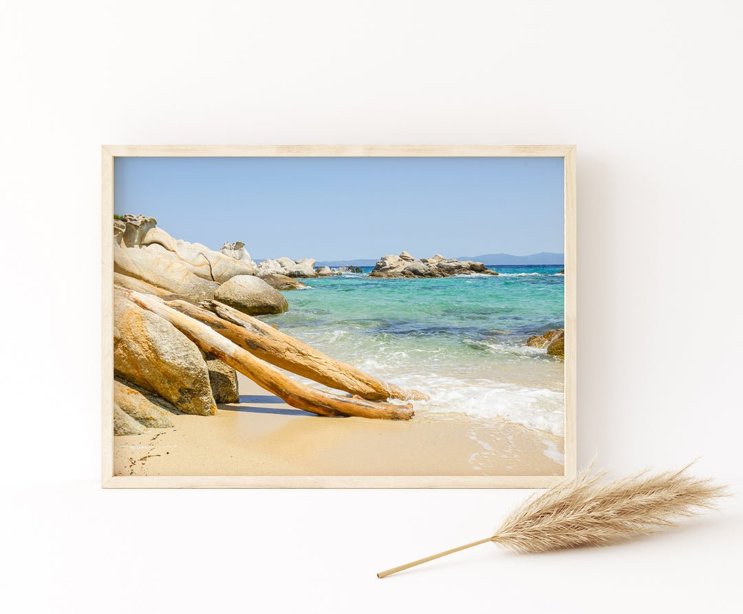 Beach Driftwood II | Fine Art Photography Print
