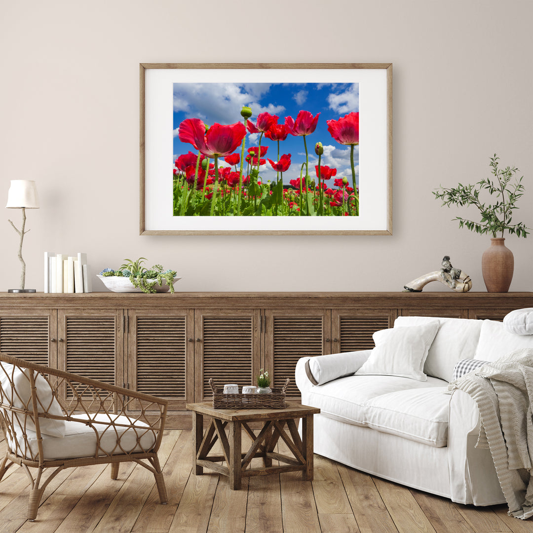 Red Poppy Flowers VIII | Fine Art Photography Print
