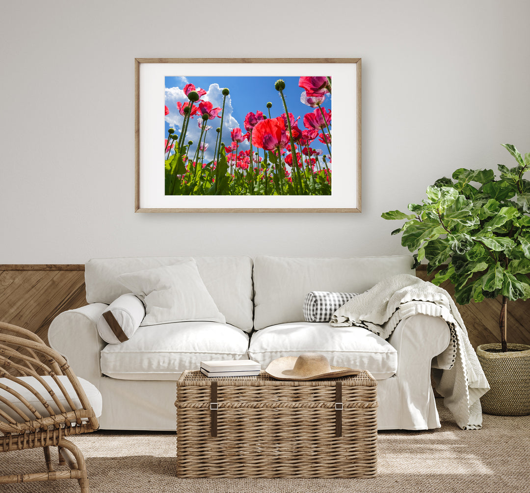 Red Poppy Flowers II | Fine Art Photography Print