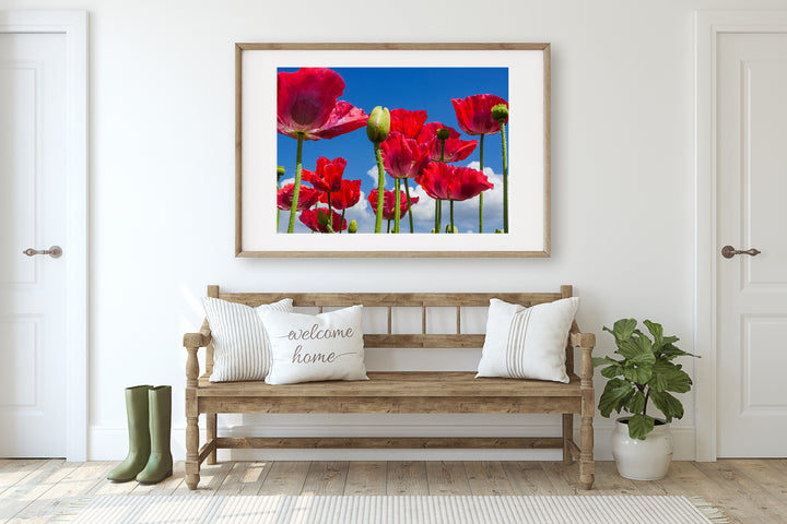 Rote Mohnblumen I | Fine Art Print