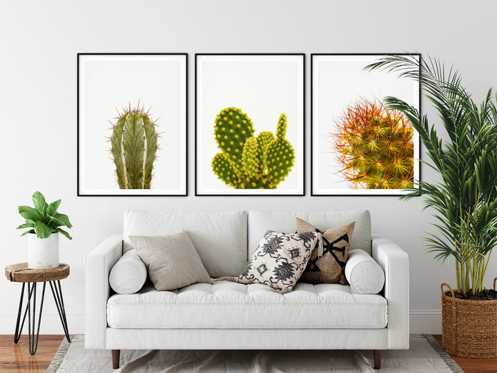 Grüner Kaktus Bilderwand IV | Fine Art Print Set