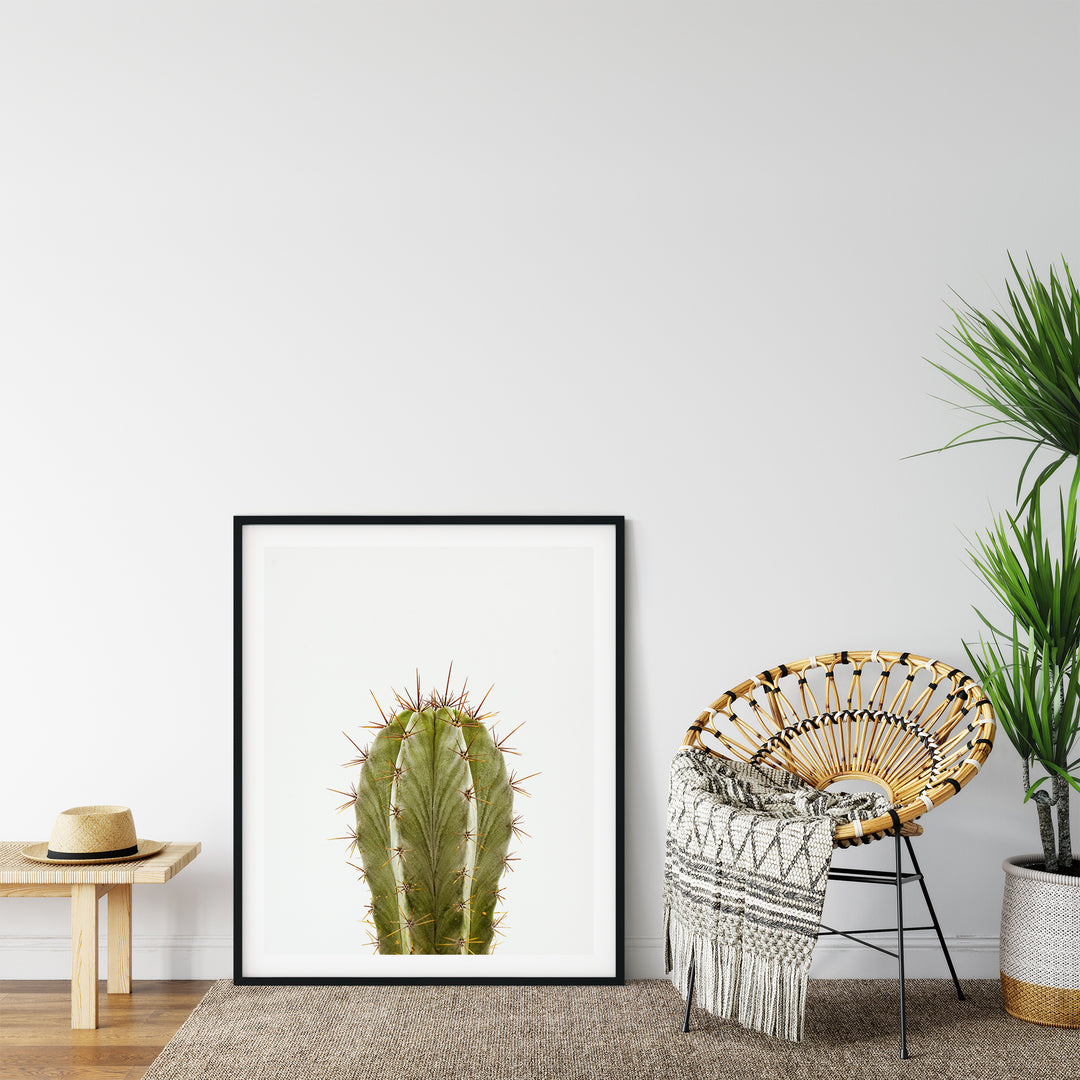 Grüner Kaktus XI | Fine Art Poster Print