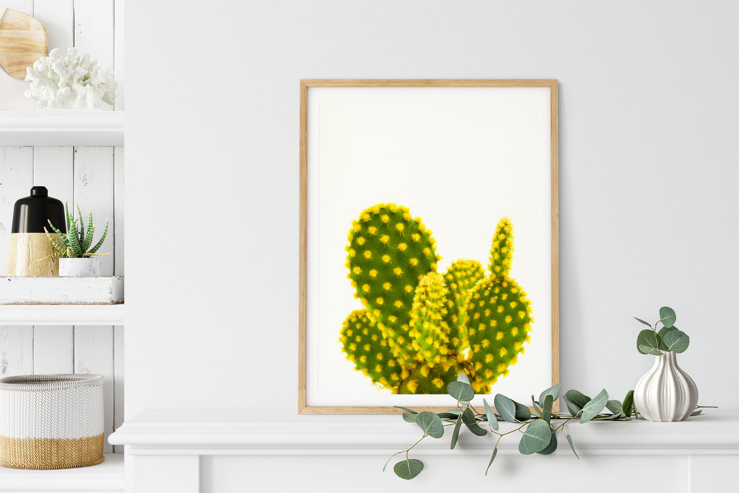 Green Cactus X | Fine Art Photography Print