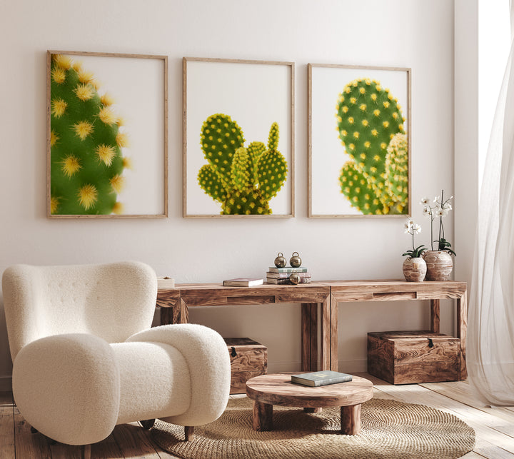 Grüner Kaktus Bilderwand III | Fine Art Poster Print Set