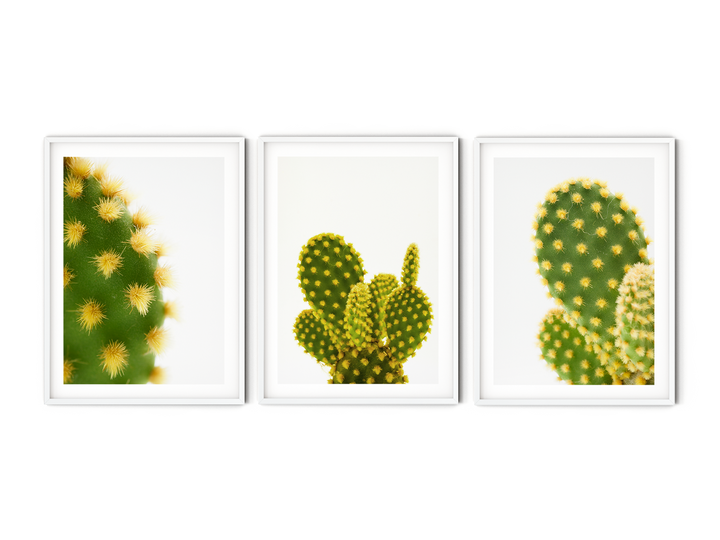 Green Cactus Gallery Wall III | Fine Art Photography Print Set