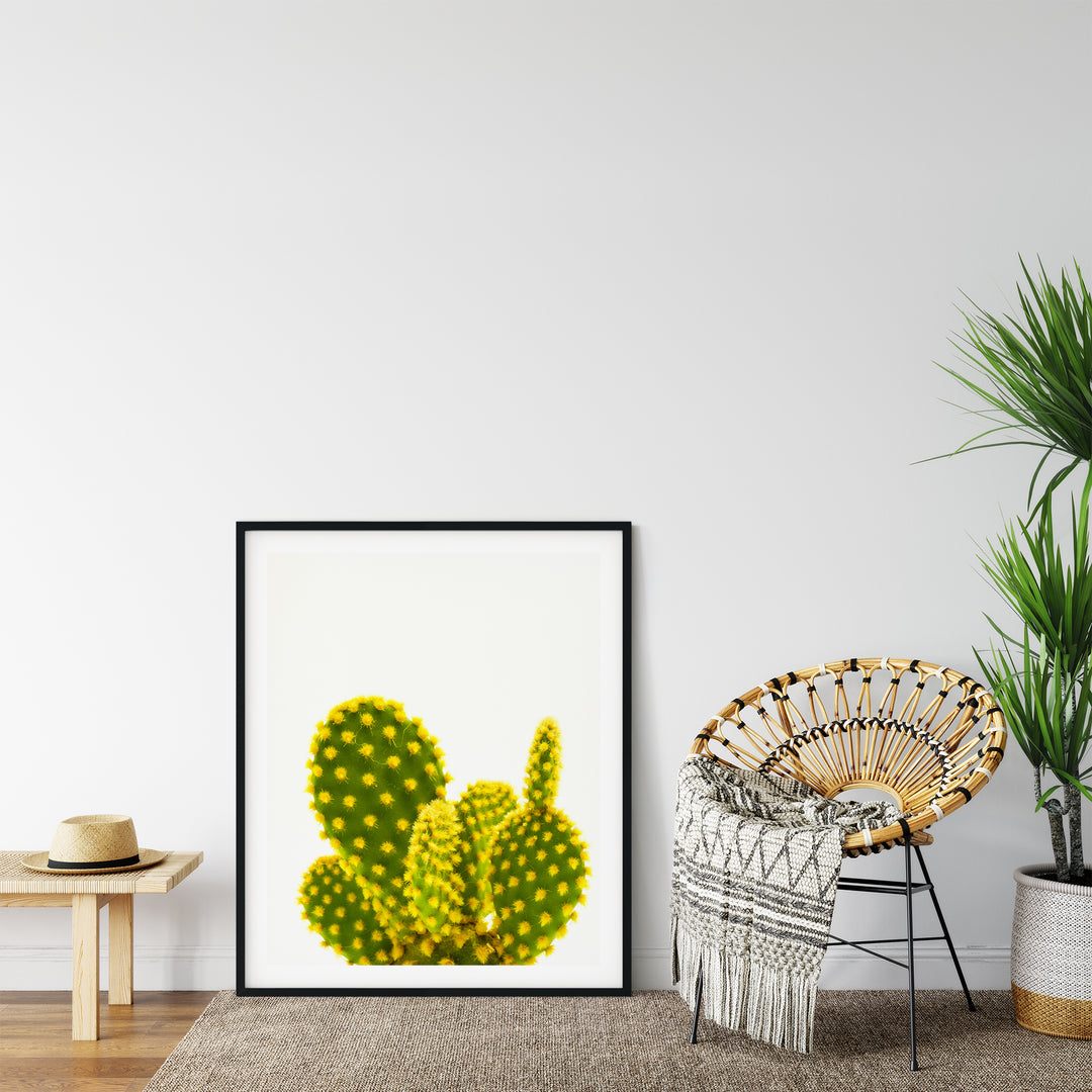 Grüner Kaktus X | Fine Art Print