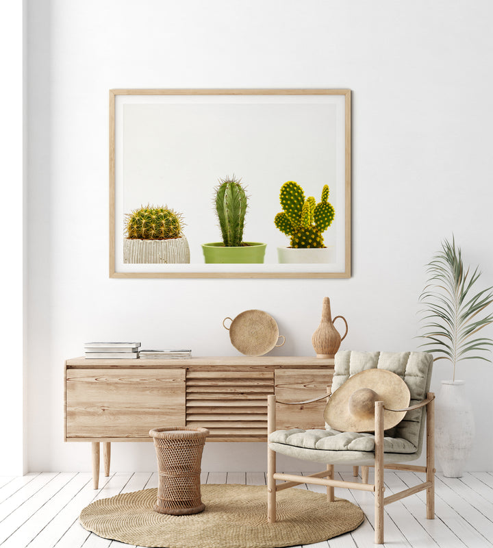 Cacti in Pots I | Fine Art Photography Print