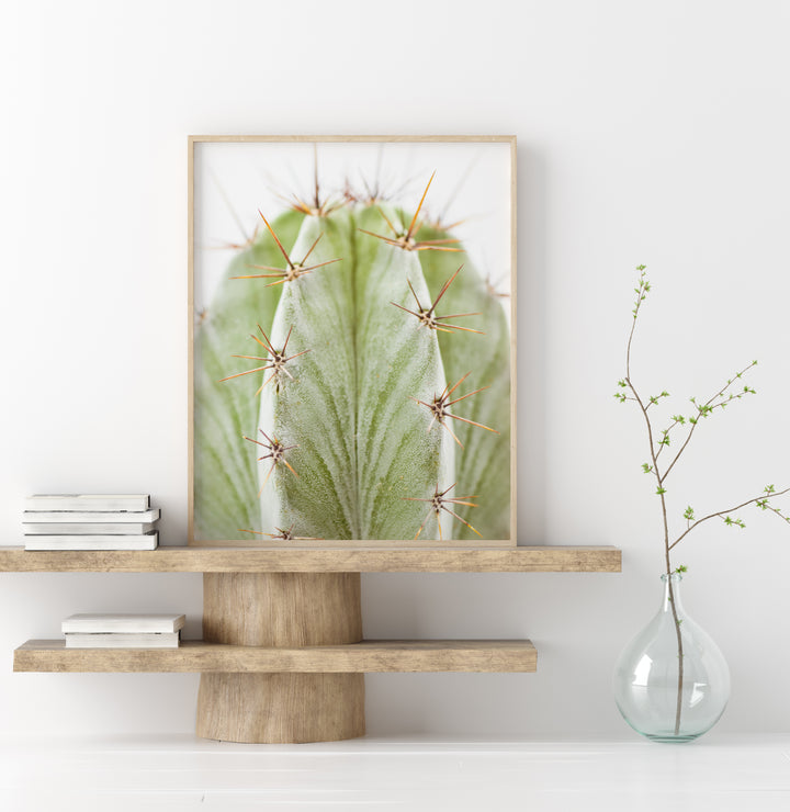Grüner Kaktus IX | Fine Art Print