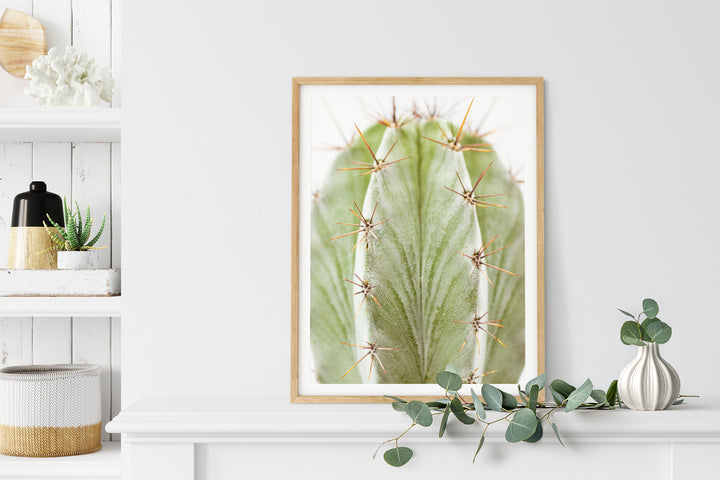 Grüner Kaktus IX | Fine Art Poster Print