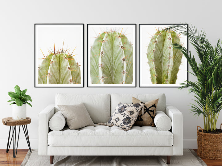 Grüner Kaktus Bilderwand II | Fine Art Poster Print Set