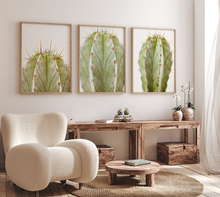 Grüner Kaktus Bilderwand II | Fine Art Poster Print Set