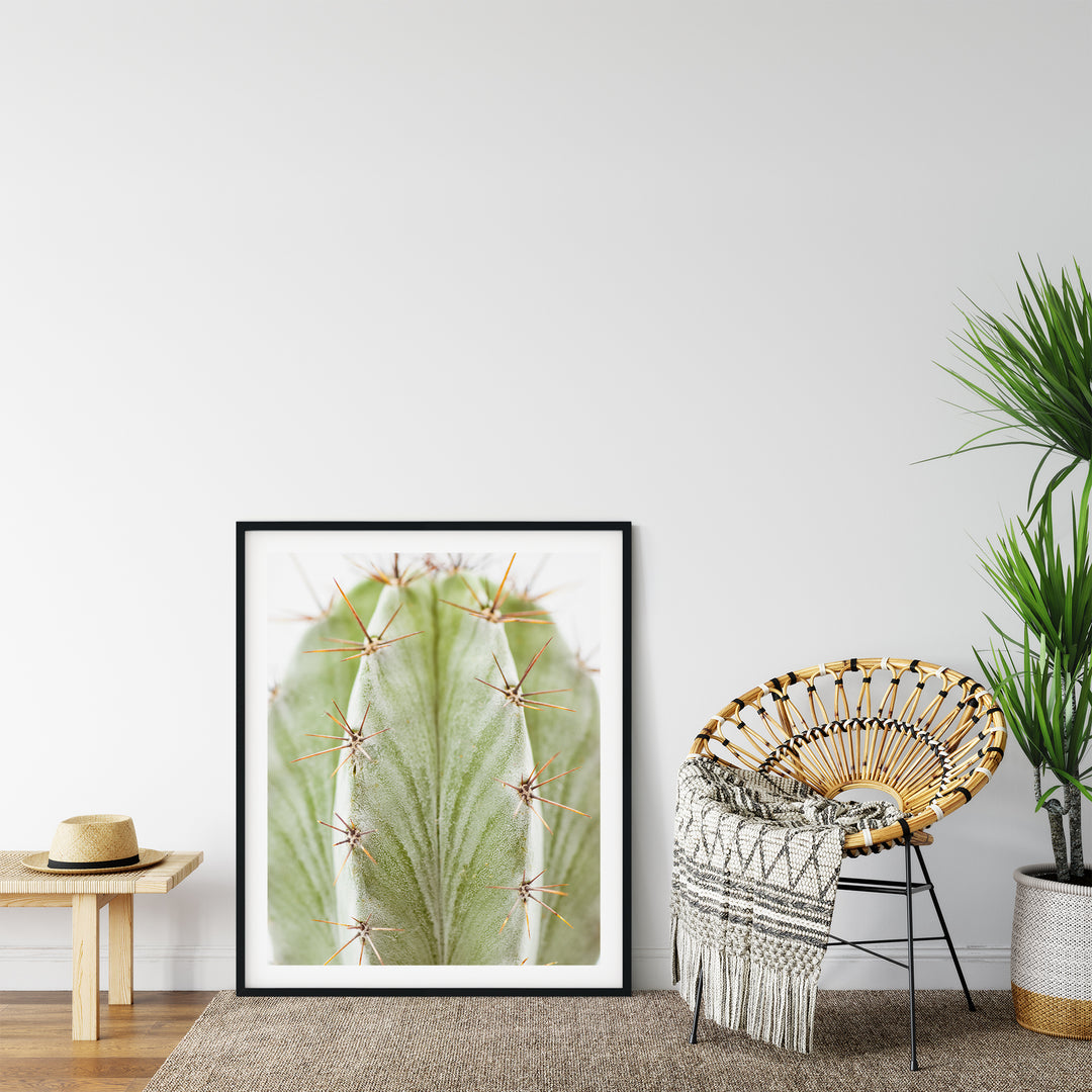 Grüner Kaktus IX | Fine Art Poster Print