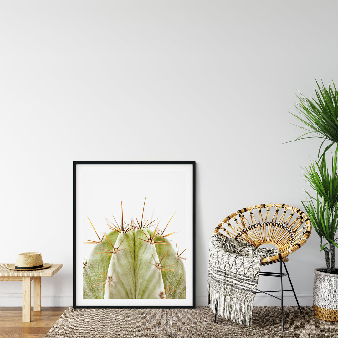 Grüner Kaktus VIII | Fine Art Poster Print