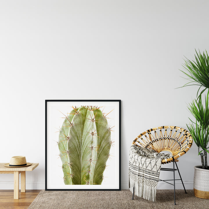 Grüner Kaktus VII | Fine Art Poster Print