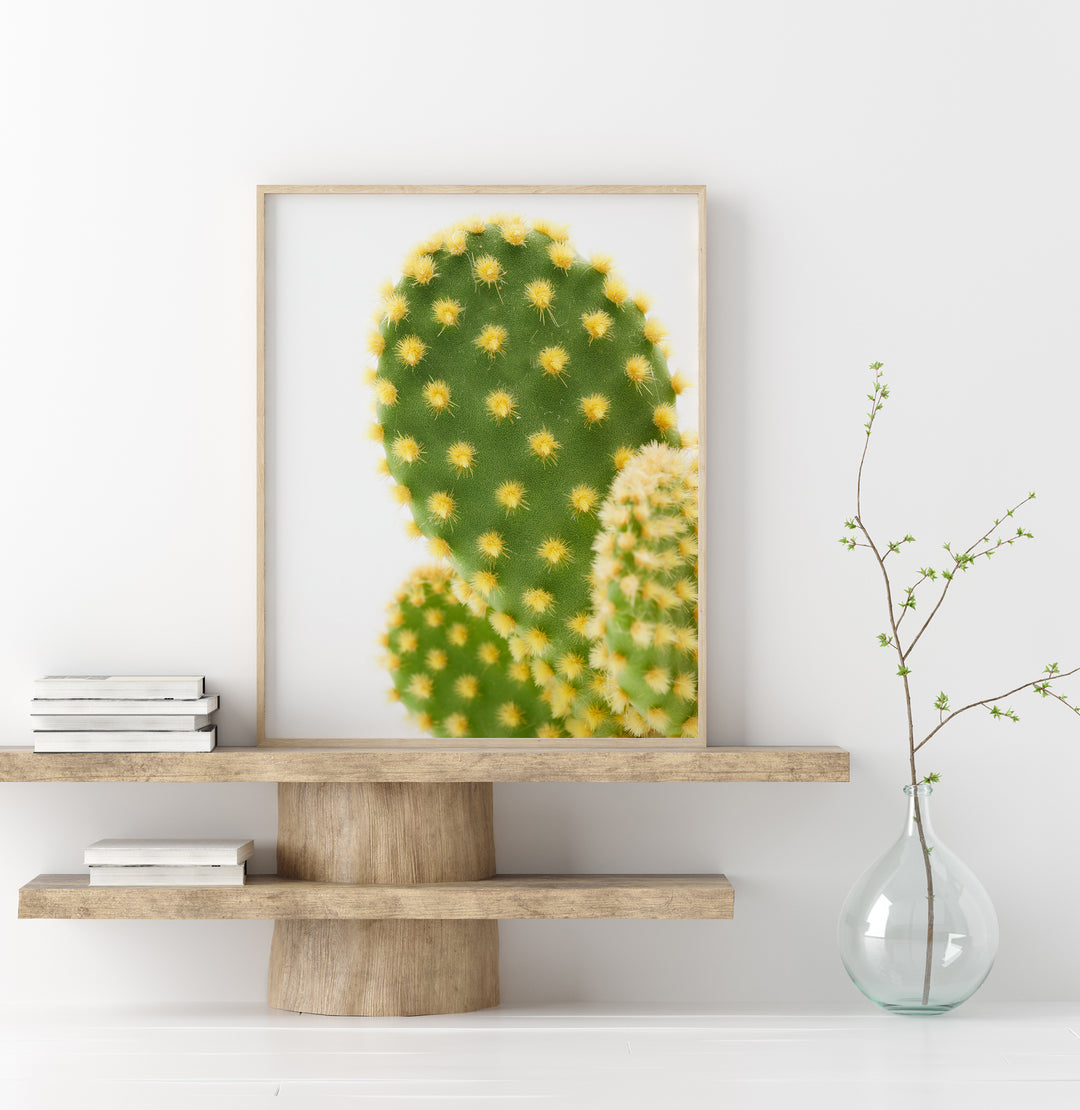 Grüner Kaktus VI | Fine Art Poster Print