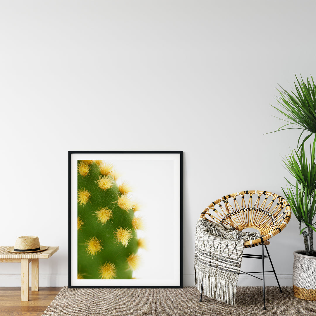Grüner Kaktus V | Fine Art Poster Print